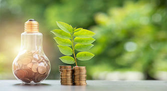 Sustainable Living: How to Incorporate Eco-Friendly Choices into Everyday Life